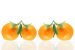 Oranges on a white background Oranges on a white background
