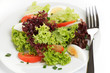 Bunter Salat mit Ei