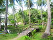 Countryside in Vietnam. Countryside in Vietnam.