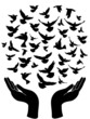 hands releasing peace pigeon