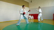 Martial arts kicking