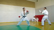 Martial Arts sport training in gym