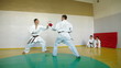 Karate fight
