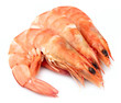 shrimps