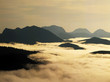 pyrenees