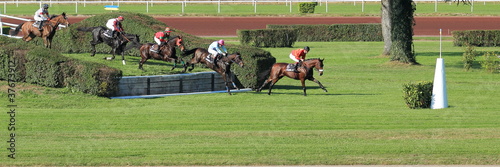 Photo: course de haies course de haies