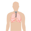 Silhouette Of Person With Lungs