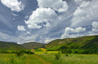 Spring landscape