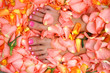 lacquered feet nails in rose leaves lacquered feet nails in rose leaves