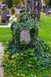 Grabstein auf einem Friedhof
