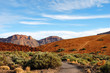 Teide National Park, Tenerife, Canary Islands Teide National Park, Tenerife, Canary Islands