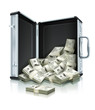 case with dollars money concept vector illustration isolated