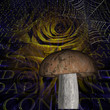 Halloween Abstract