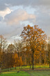 Photo : Donzenac (Corrèze) Donzenac (Corrèze)