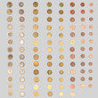 Euro coin