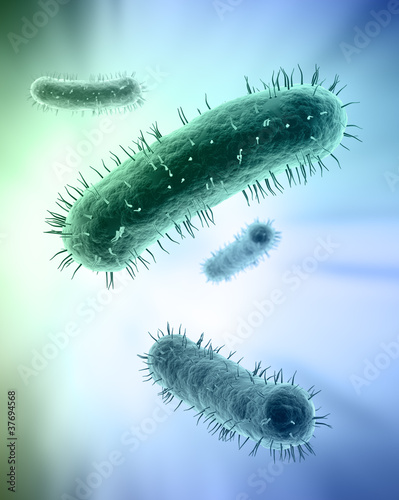 Illustration: Scientific illustration of bacteria Scientific illustration of bacteria