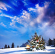 Photo: Christmas tree with lights Christmas tree with lights