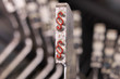 Paragraph Typewriter Double Red