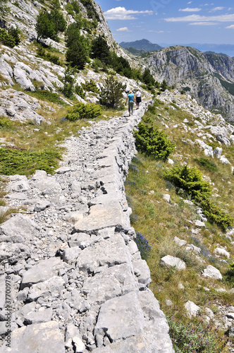 Photo: Way Way