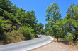asphalt road between the hills and trees