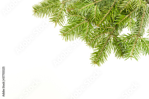 Photo: Christmas framework with snow isolated on white background Christmas framework with snow isolated on white background