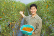 successful asian farmer holding tomato on his farm successful asian farmer holding tomato on his farm