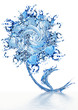 Flower made of water on a white background Flower made of water on a white background