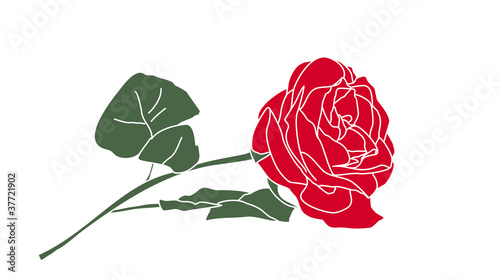 Vector: rose vector rose vector
