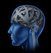 Confused Human Intelligence