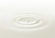 Photo: milk drop milk drop
