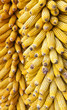 Corns