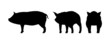 Pig Silhouette