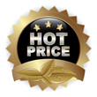 HOT PRICE ICON