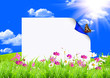 White sign with flowers and green grass White sign with flowers and green grass