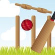 cricket