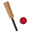 cricket set
