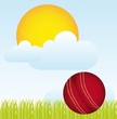 cricket vector