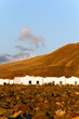 Lanzarote,Montana Roja ,Häuser Lanzarote,Montana Roja ,Häuser