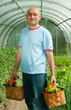 Gardener   with vegetables harvest
