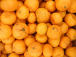 Tangerines at Farmers Market