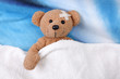 teddy bear