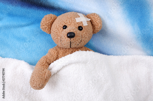 Photo: teddy bear teddy bear