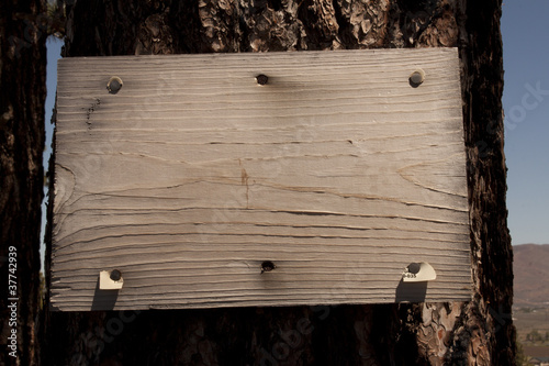 Photo: Old grungy wood sign on a pine tree Old grungy wood sign on a pine tree