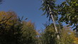 park adventure sport in the forest