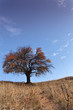 Autumn....