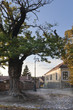 Square....