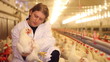 Veterinarian working on chicken farm