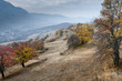 Transylvania..