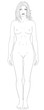 Female basic proportions