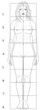 Woman basic proportions
